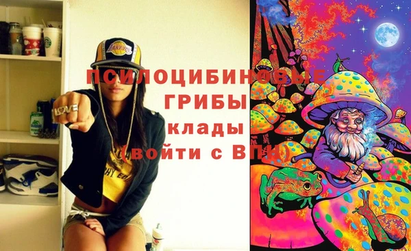 ешки Каменск-Шахтинский