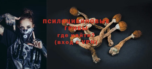 ешки Каменск-Шахтинский