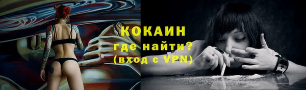 mdpv Коряжма