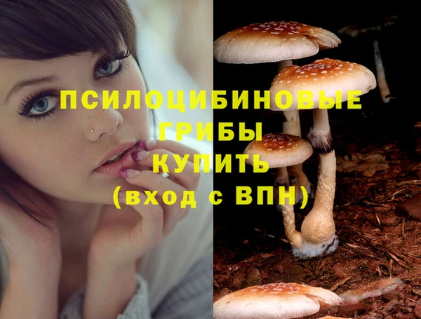 амф Каменногорск