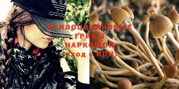 героин Абаза