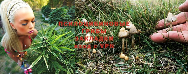амф Каменногорск