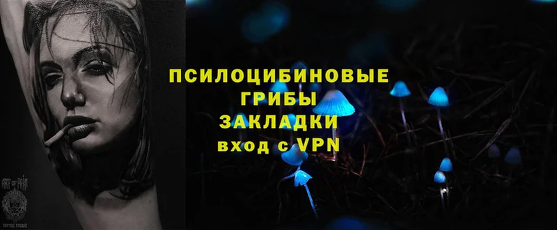 цены   Кострома  Галлюциногенные грибы MAGIC MUSHROOMS 