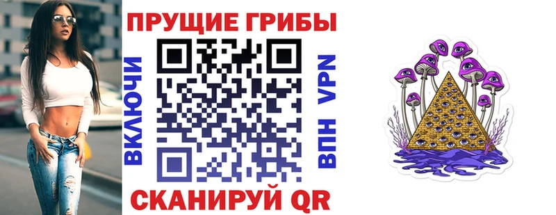 Псилоцибиновые грибы Psilocybine cubensis  наркошоп  Кострома 