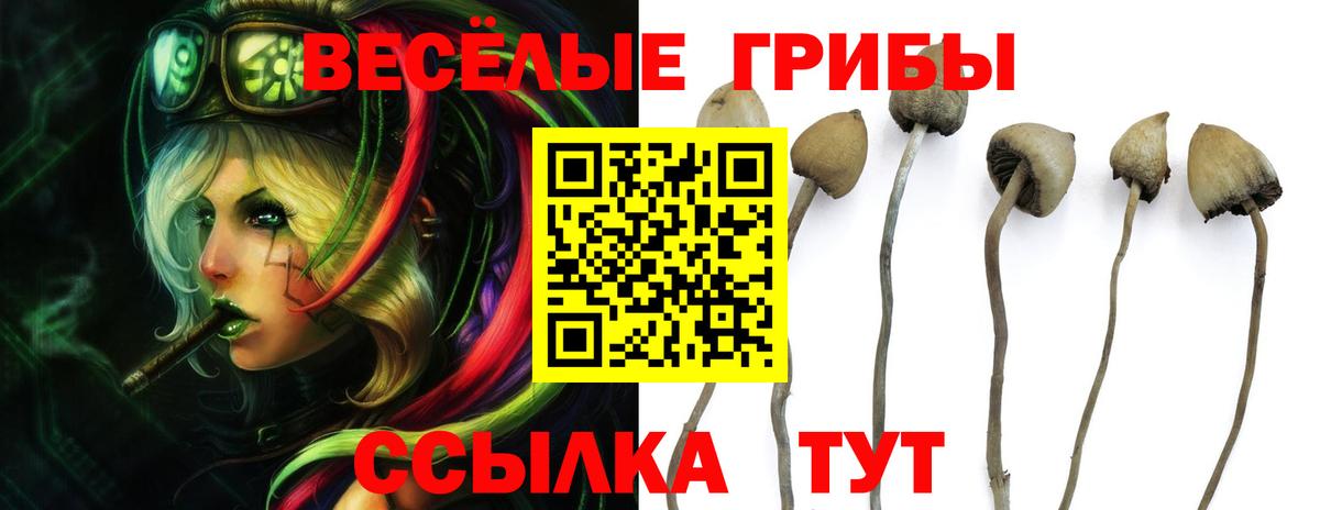 Кострома  Галлюциногенные грибы ЛСД  что такое   Вход с VPN 